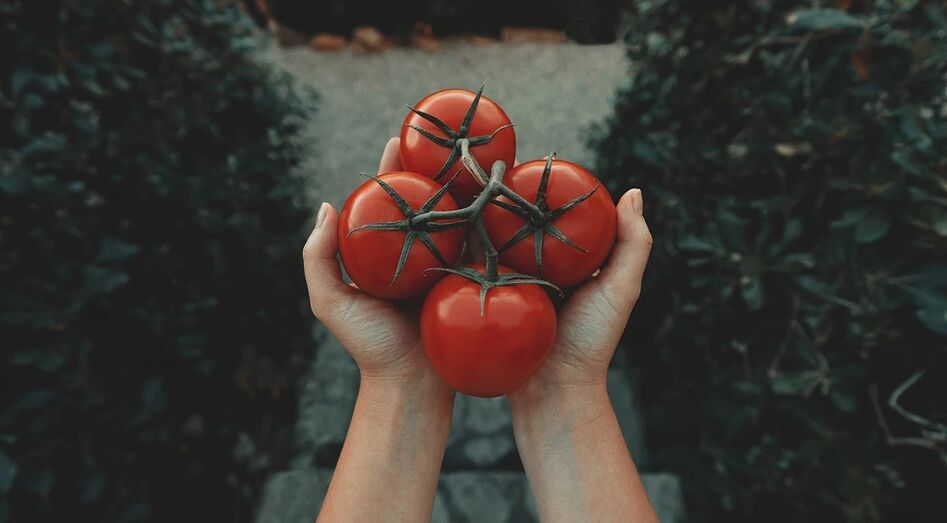 Tomaten reduzieren das Prostatakrebsrisiko